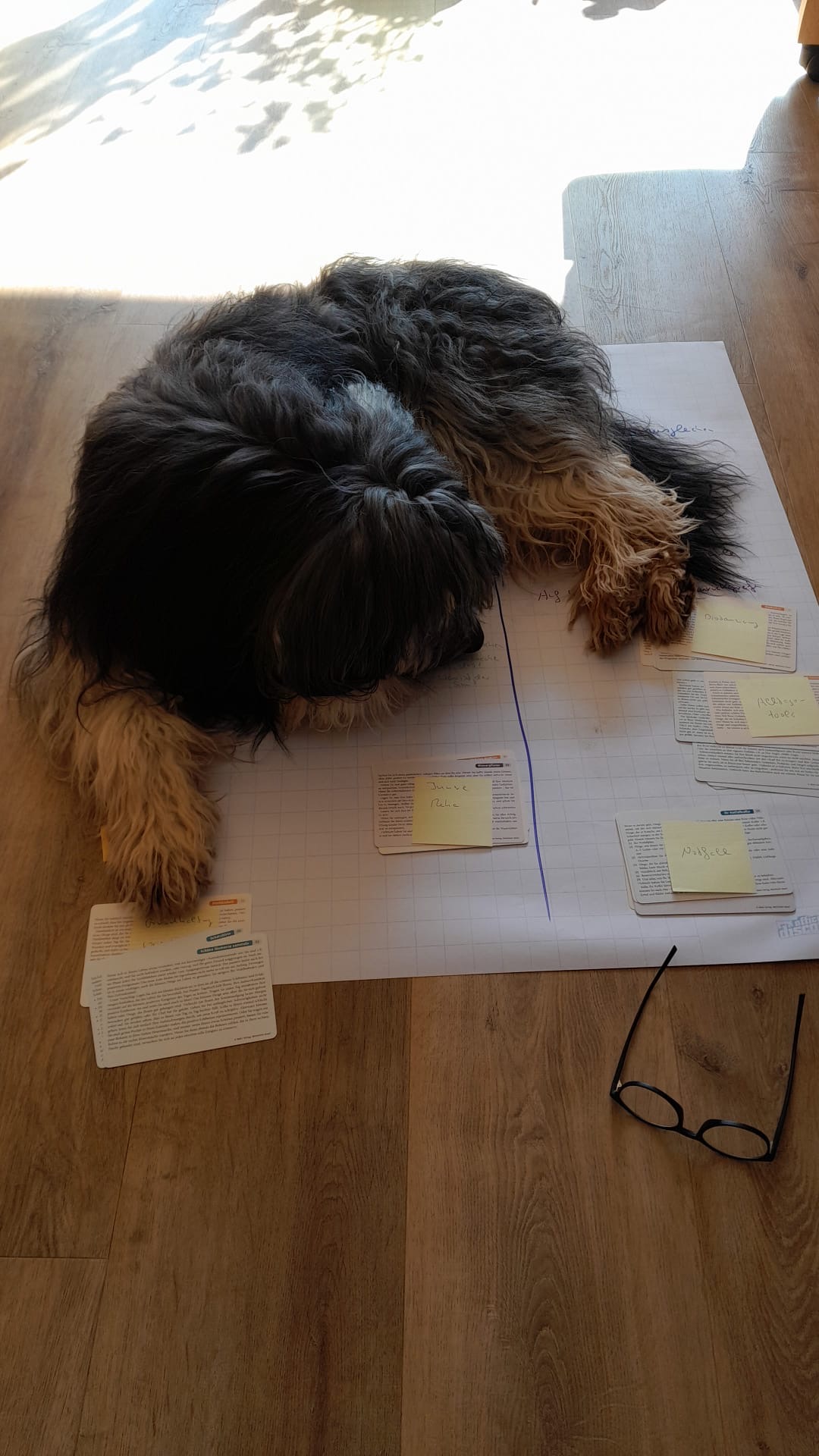 6e8a26bf-3591-4c09-8566-0adcf2e61d36